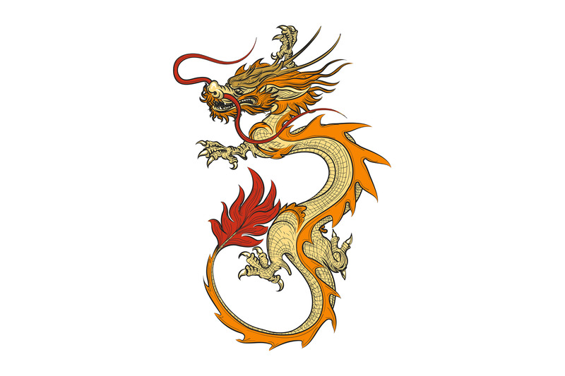 asian-dragon-vector-illustration