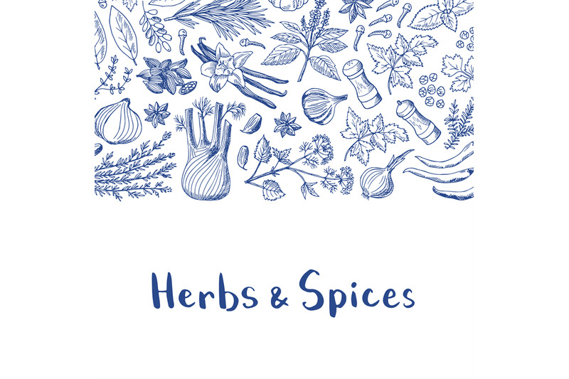 vector-hand-drawn-herbs-and-spices-background-with-place-for-text-illu