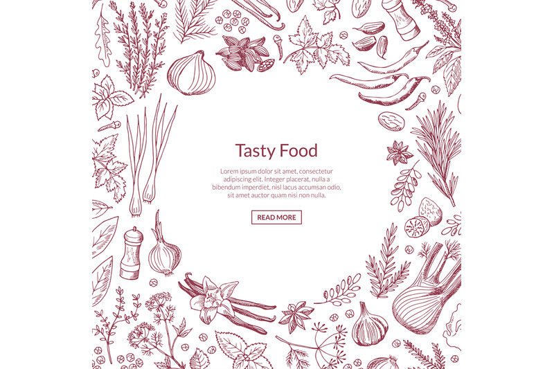 vector-hand-drawn-herbs-and-spices-background-with-place-for-text-illu