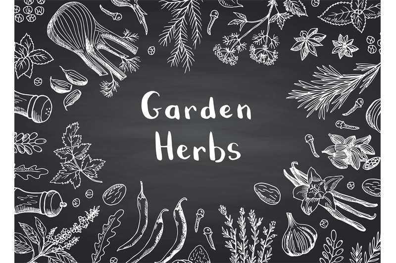 vector-hand-drawn-herbs-and-spices-on-black-chalkboard-background-with