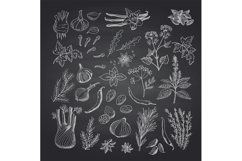 vector-hand-drawn-herbs-and-spices-on-black-chalkboard-illustration