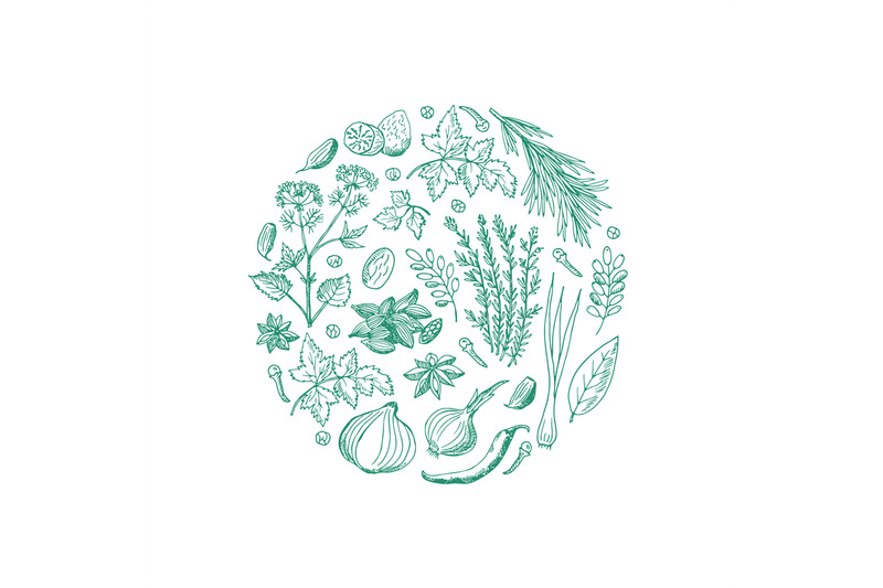 vector-hand-drawn-herbs-and-spices-in-circle-shape-illustration