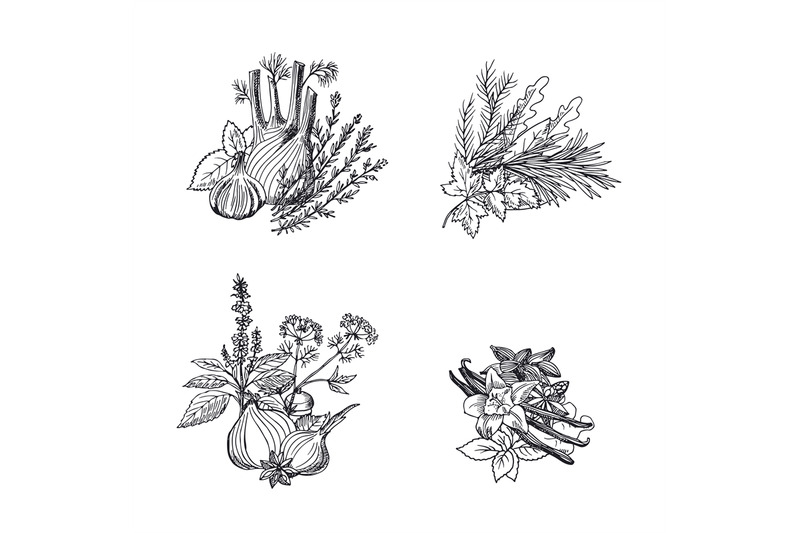 vector-hand-drawn-herbs-and-spices-piles-set-illustration