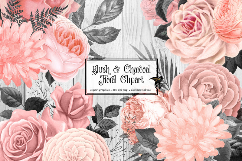 blush-and-charcoal-floral-clipart