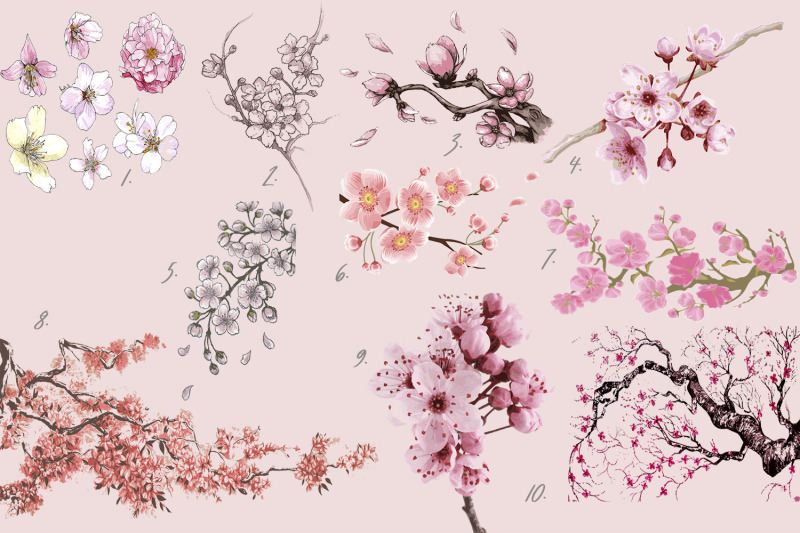 sakura-bloom-flowers-branches-trees-vector-illustrations