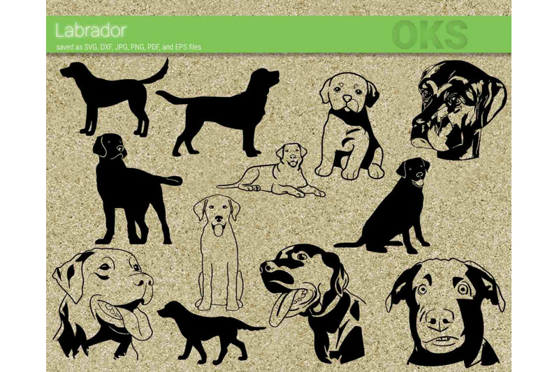 Download labrador svg, svg files, vector, clipart, cricut, download ...