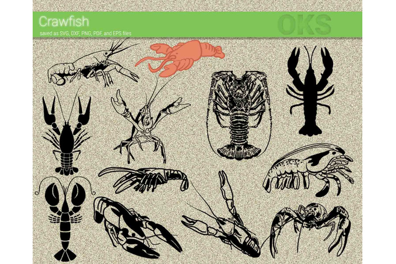 Download crawfish svg, svg files, vector, clipart, cricut, download By CrafterOks | TheHungryJPEG.com