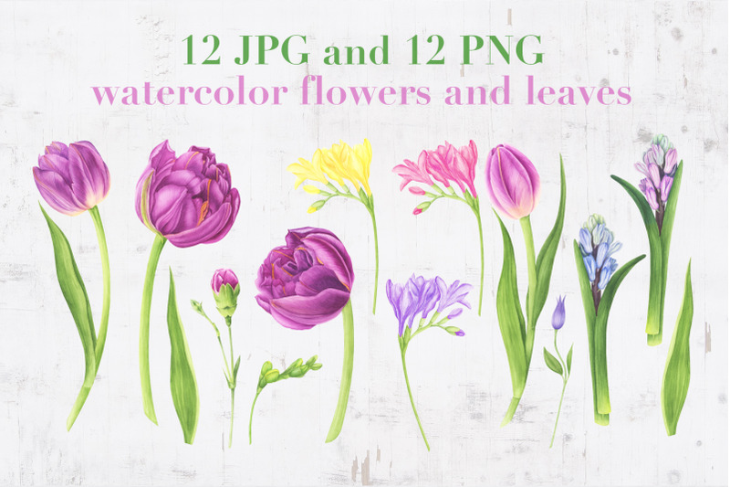 spring-garden-watercolor-set