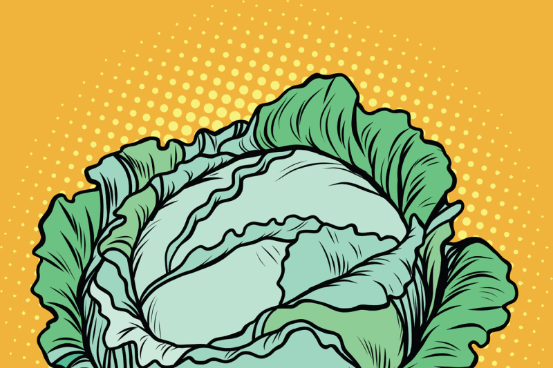 cabbage-healthy-vegetarian-food-farm-product