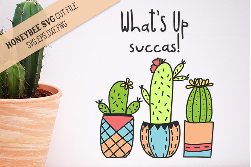 what-039-s-up-succas-svg-cut-file