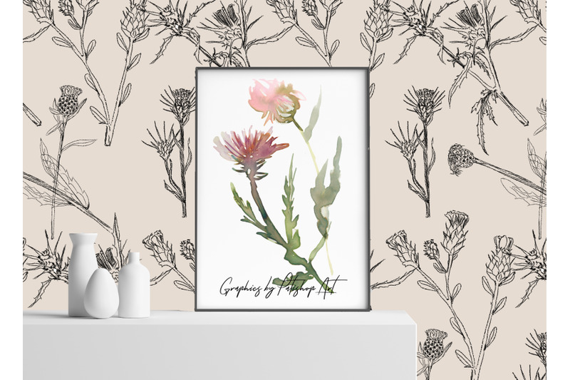 hand-painted-amp-sketched-thistle-clip-art-separate-elements-seamless