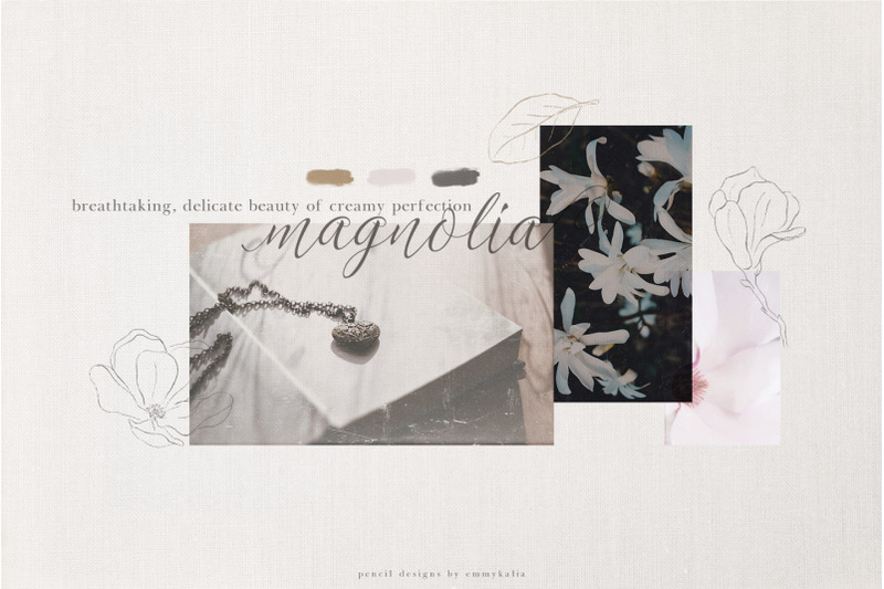 magnolia-flower-modern-art-set