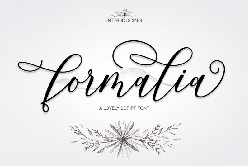 formalia-script