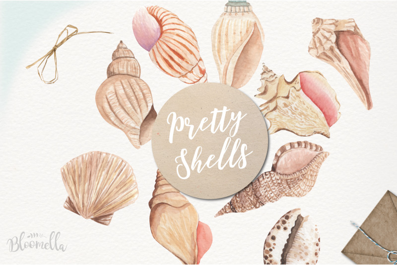 sea-shell-elements-23-individual-png-shells-shore-beach-summer-inspire