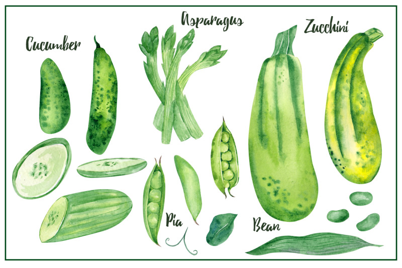 vegetables-big-watercolor-set