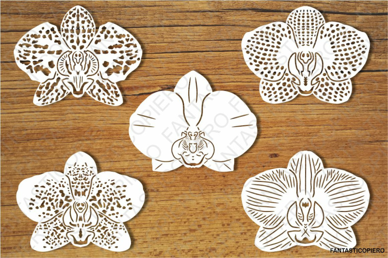 Download Orchid Flowers SVG files for Silhouette Cameo and Cricut ...