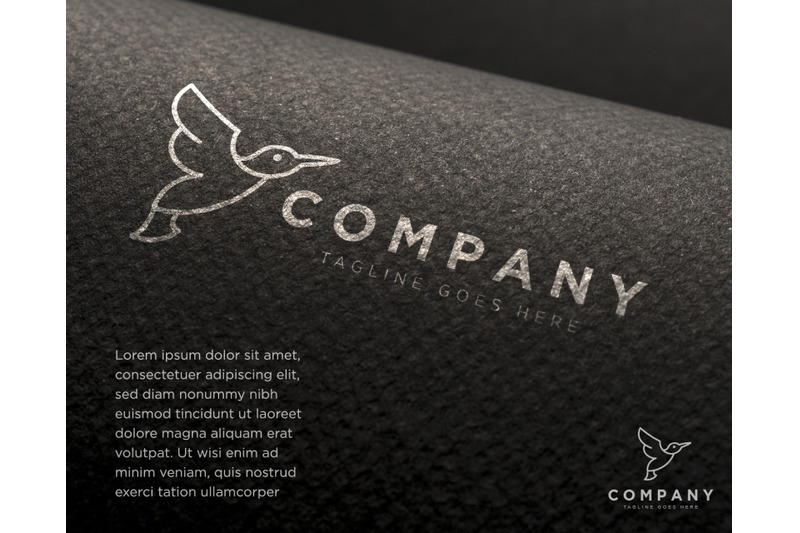 elegant-line-flying-hummingbird-logo-template-icon-element-isolated