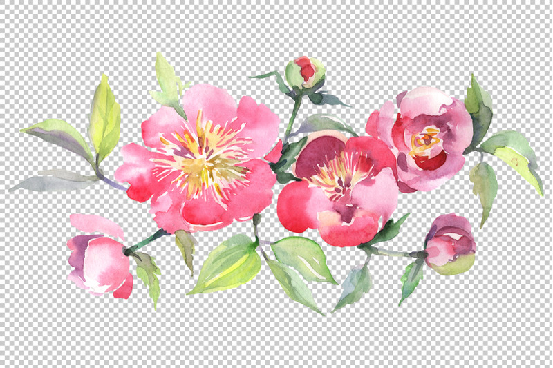 bouquet-with-tea-pink-roses-watercolor-png