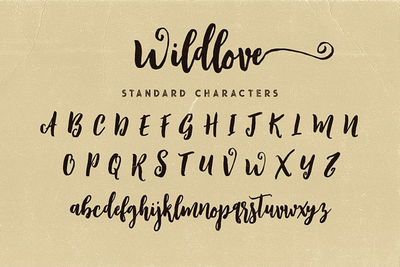 wildlove-script-font