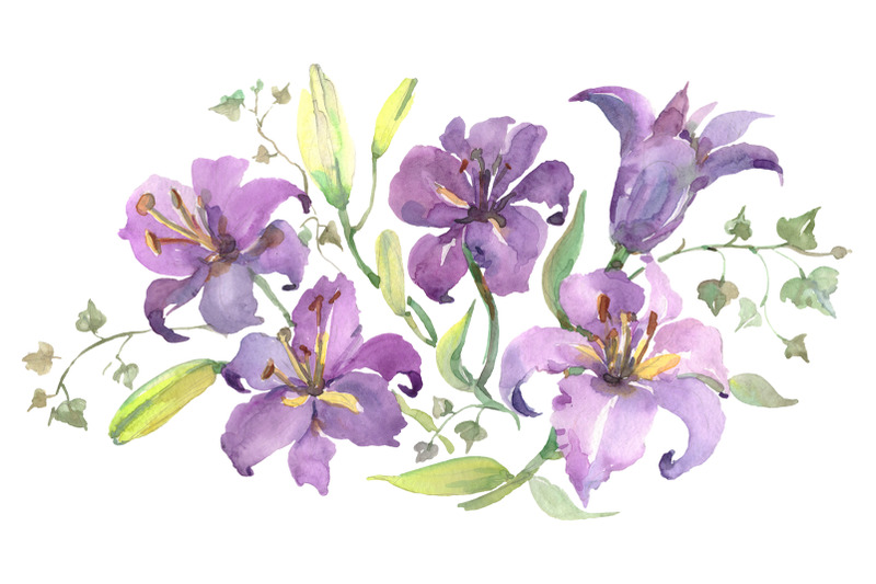 bouquet-with-purple-lilies-watercolor-png