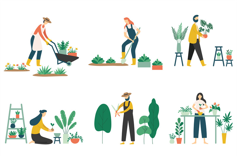 people-gardening-woman-planting-gardens-flowers-agriculture-gardener