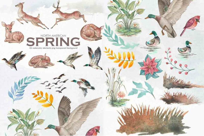 watercolor-north-american-spring