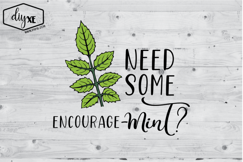 need-some-encourage-mint
