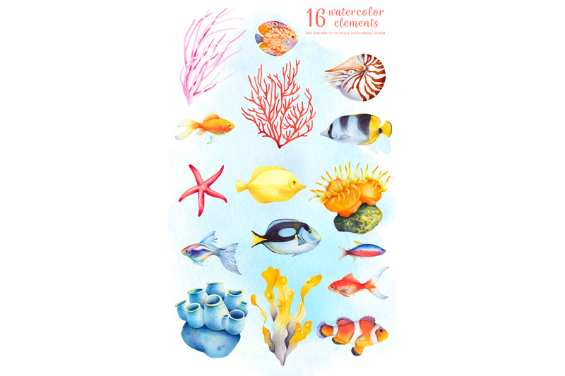 coral-reef-watercolor-clip-art