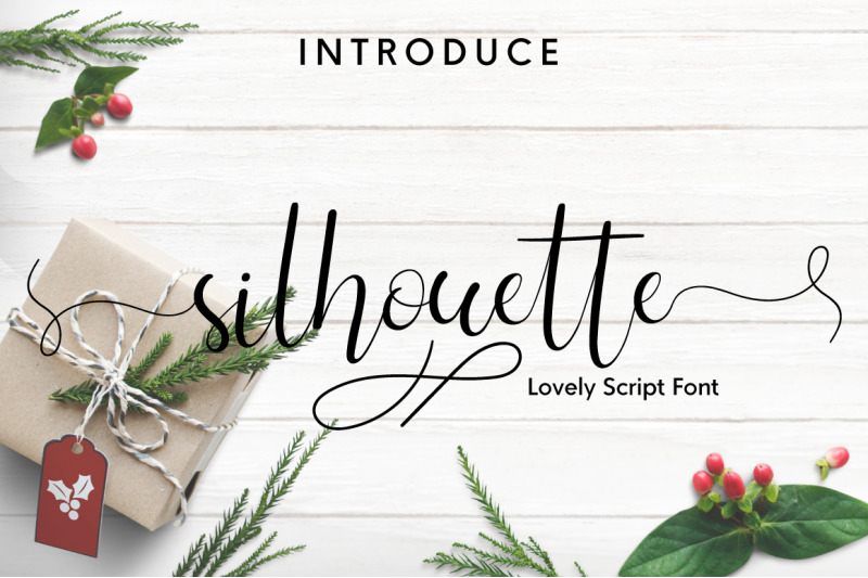 silhouette-lovely-script-font