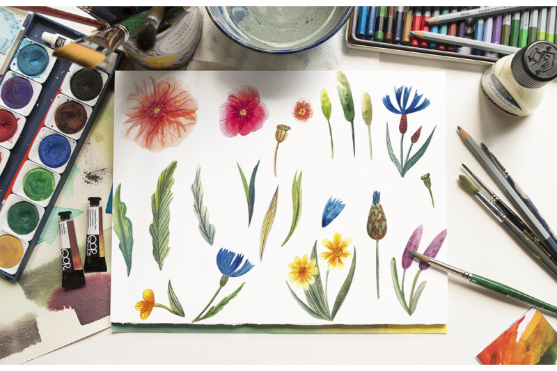 watercolor-wildflowers