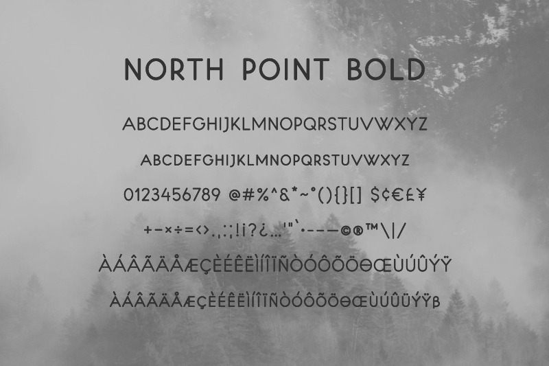 north-point-sans-serif