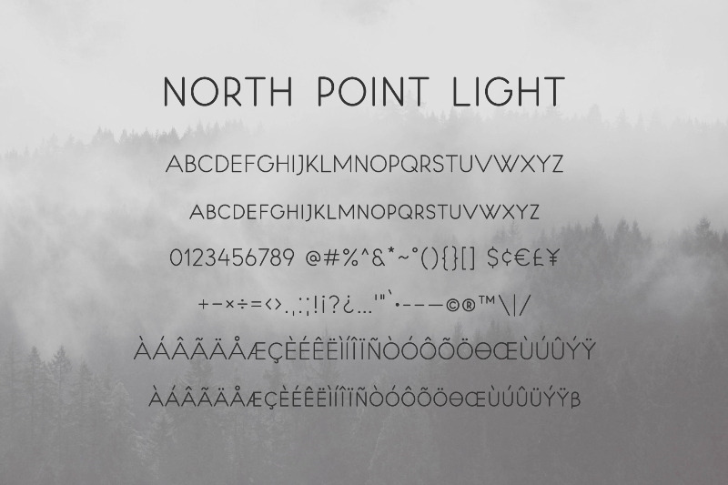 north-point-sans-serif