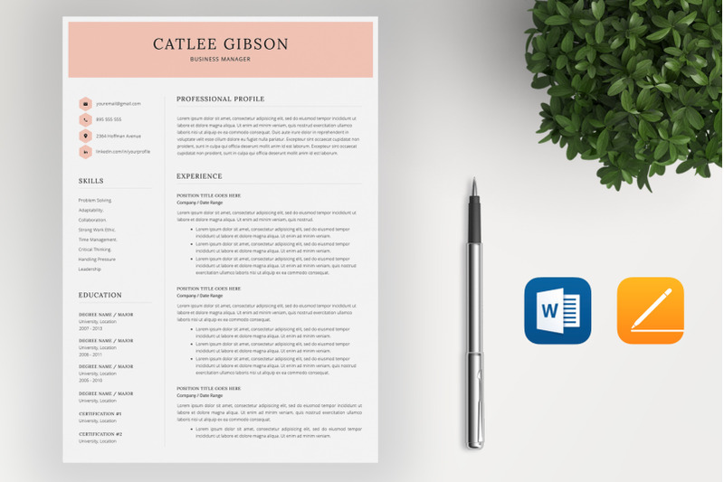 word-resume-template