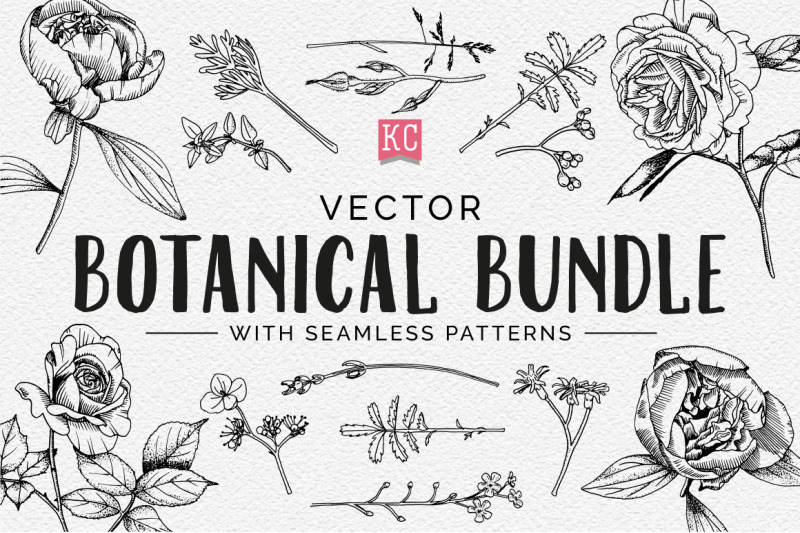 vector-botanical-illustrations