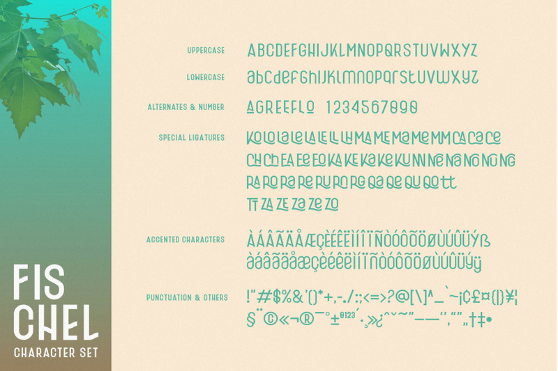 Fischel Typeface Family By 160 Studio Thehungryjpeg Com