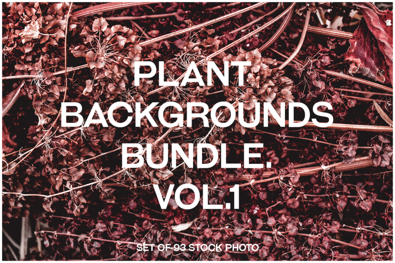 plant-backgrounds-photo-stock-nature-overlays