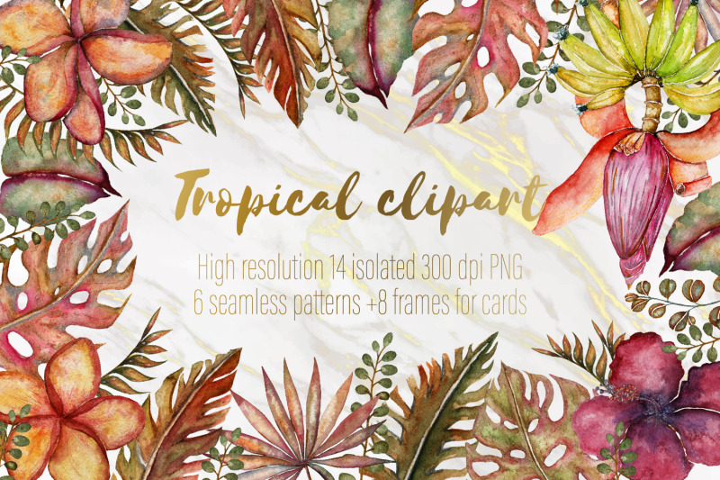 tropical-clipart-set-big-sale