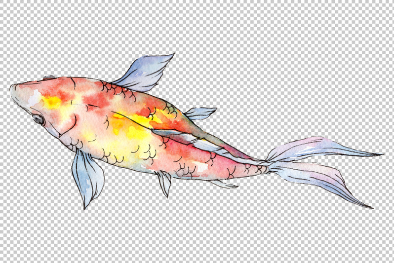 goldfish-2-watercolor-png