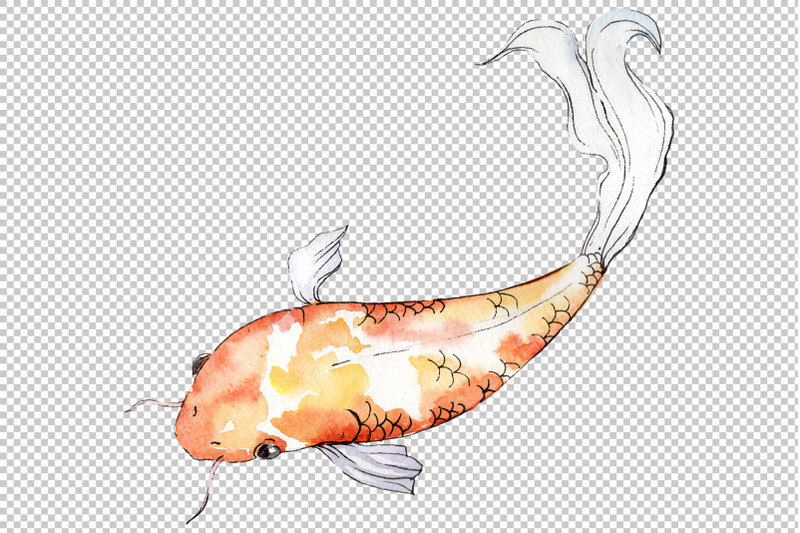 goldfish-2-watercolor-png