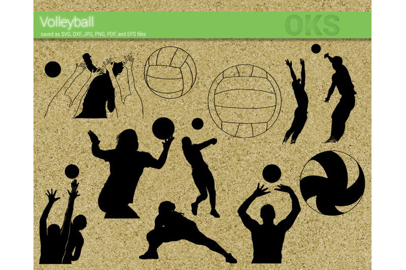 Download volleyball svg, svg files, vector, clipart, cricut, download By CrafterOks | TheHungryJPEG.com