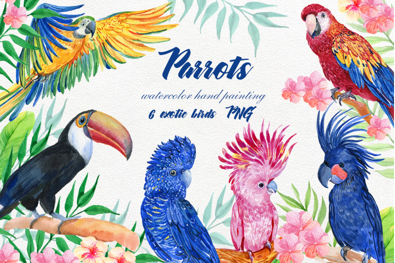 parrots-clipart-watercolor-illustrations