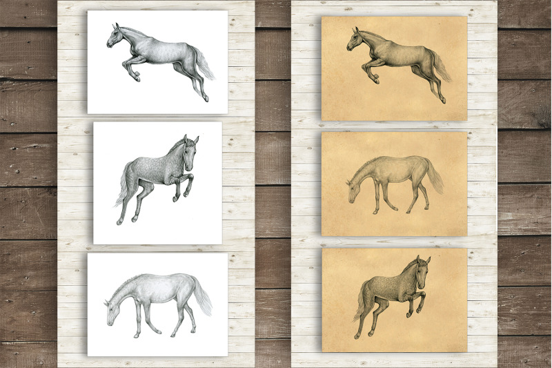 horses-clipart-hand-drawn