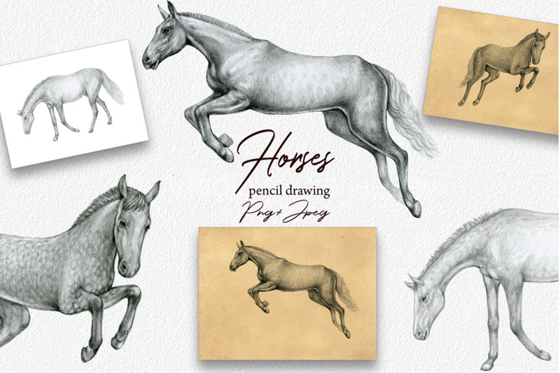 horses-clipart-hand-drawn