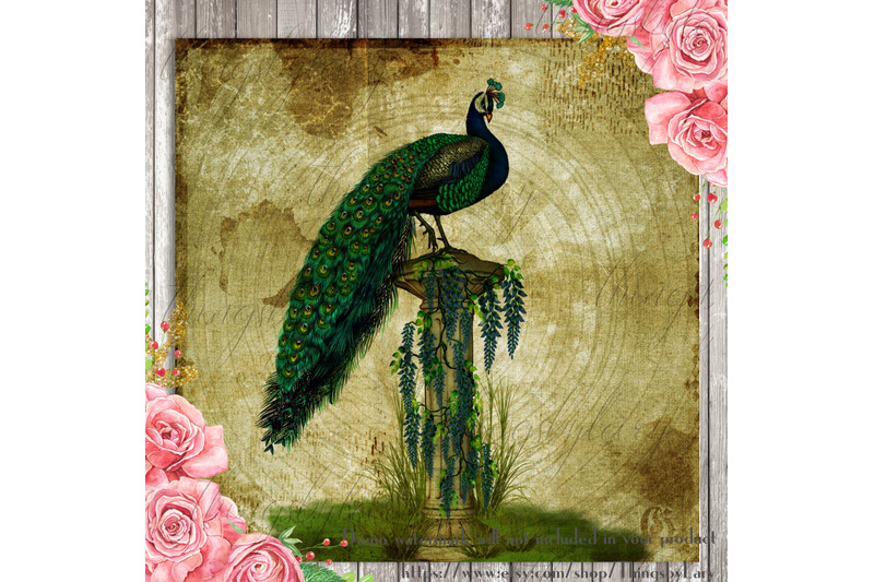 16-antique-gorgeous-peacock-ephemera-peacock-digital-papers