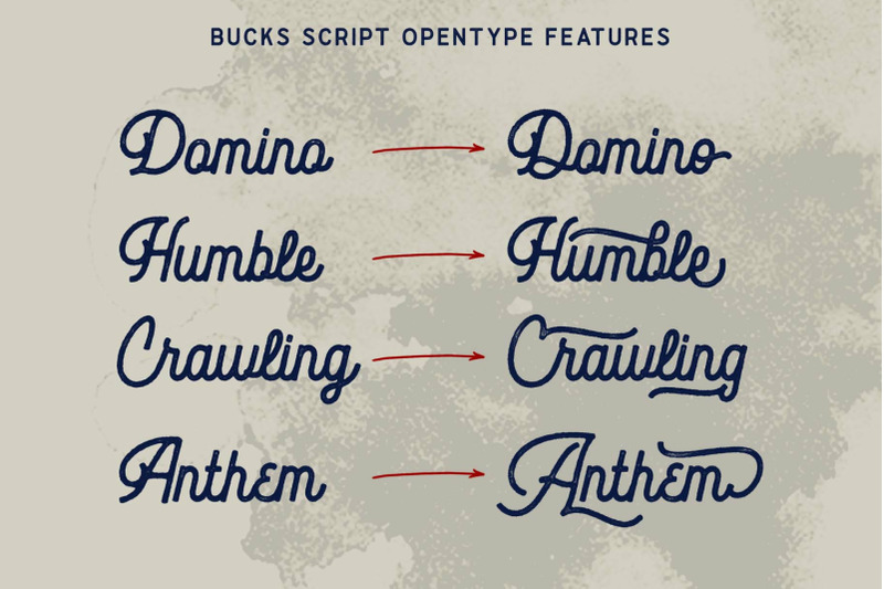 bucks-script