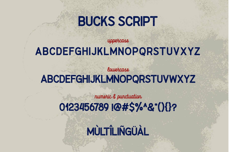 Bucks Script By Secondivison Thehungryjpeg Com