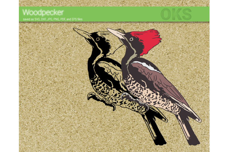 woodpecker-svg-svg-files-vector-clipart-cricut-download
