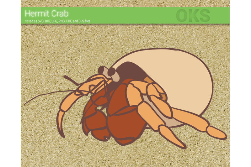 hermit-crab-svg-svg-files-vector-clipart-cricut-download