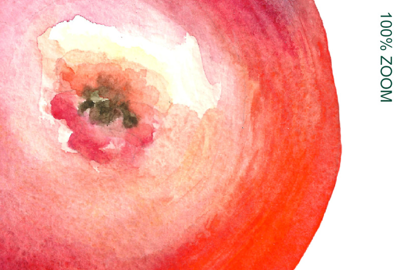 watercolor-apples-collection