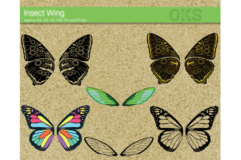 insect-wing-svg-svg-files-vector-clipart-cricut-download